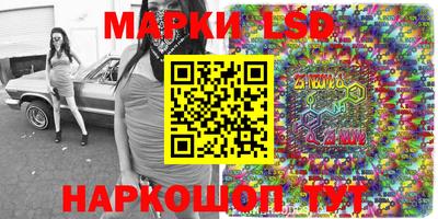 mdpv Славгород