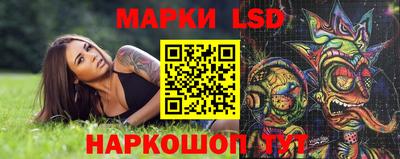 mdpv Славгород